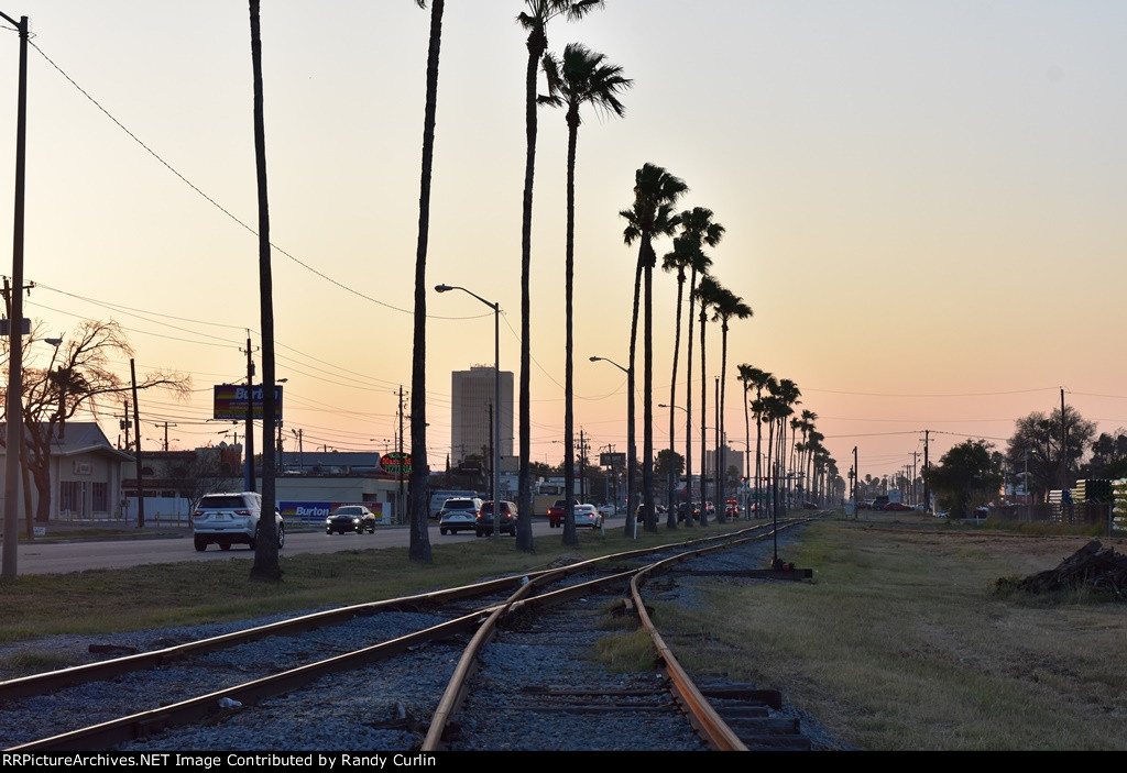 McAllen TX